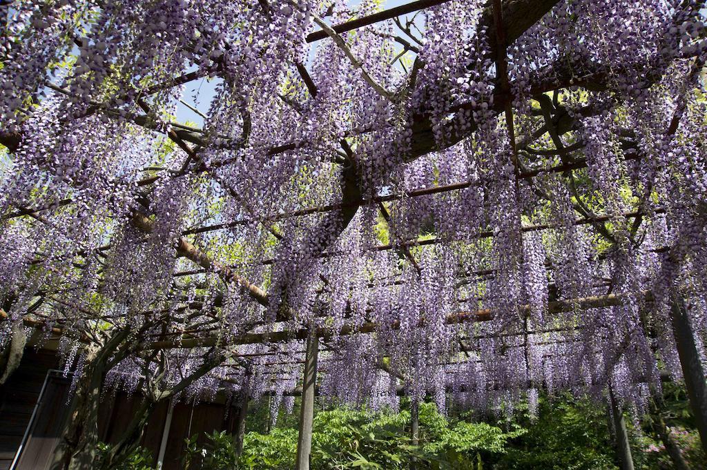 Hotel Nanzanso Izunokuni Exterior foto